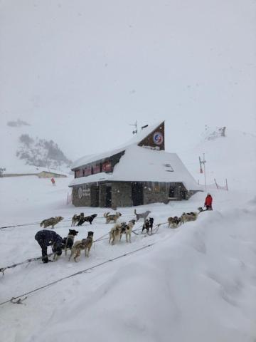 Pied Des Pistes, Lumineux 4P, Parking Couvert La Mongie Esterno foto